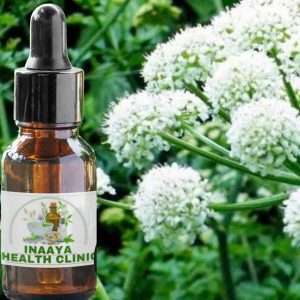Angelica Root Liquid Extract 30ml