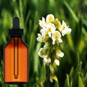 Bangalala Root Tincture 30ml