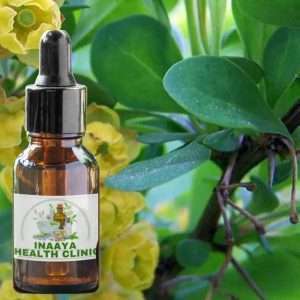 Barberry Liquid Extract 30ml