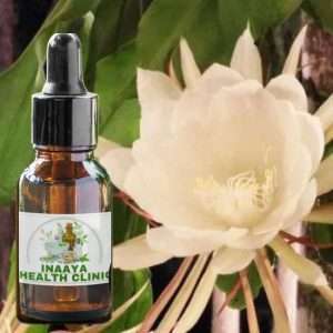 Cactus Liquid Extract 30ml