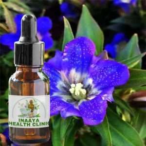 Gentian Root Tincture 30ml