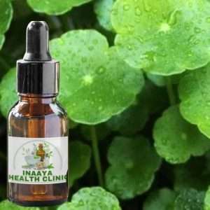 Gotu Kola Liquid Extract 30ml