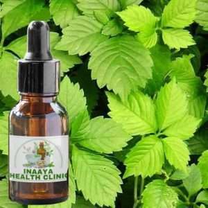 Gynostemma Tincture 30ml