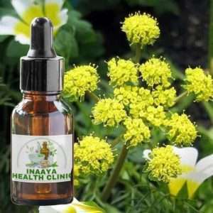 Lomatium Root Tincture 30ml