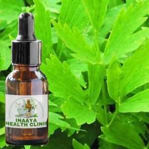 Lovage Root Tincture 30ml
