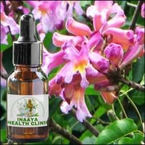 Pau D'arco Bark Tincture 30ml