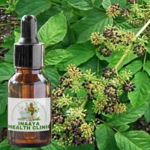 Sarsaparilla Root Tincture 30ml