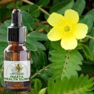 Terrestris Tribulus Liquid Extract 30ml