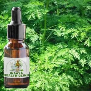 Wormwood Tincture 30ml